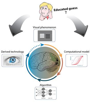 Cover image for research topic "Integrating Visual System Mechanisms, Computational Models and Algorithms/Technologies"
