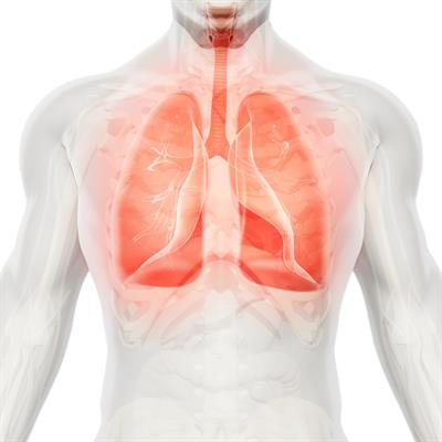 Cover image for research topic "Pulmonary Fibrosis and Lung Carcinogenesis: Do Myofibroblasts and Cancer-associated Fibroblasts Share a Common Identity?"