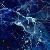 Cover image for research topic "Bioinformatics for Modern Neuroscience"