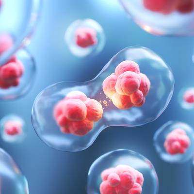 Cover image for research topic "Pluripotent Stem Cells: Maintenance, Differentiation, and Applications"