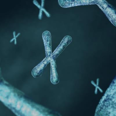 Cover image for research topic "Co-Occurrence of Numerical and Structural Aberration - Small Supernumerary Marker Chromosomes and B-Chromosomes"