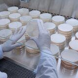 Cover image for research topic "Past, present, and future of antimicrobial resistance"