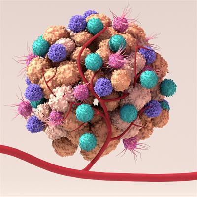Cover image for research topic "Current Insights in Cancer Metabolism and T Cell Based Tumor Immunity"