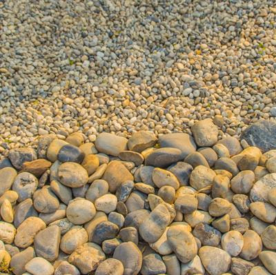 Cover image for research topic "Editors’ Showcase 2023: Granular Matter"