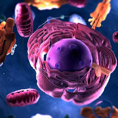 Cover image for research topic "Reviews and Advances in the Membrane Trafficking of Cancer"