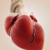 Cover image for research topic "Case Reports in Thrombosis: 2023"