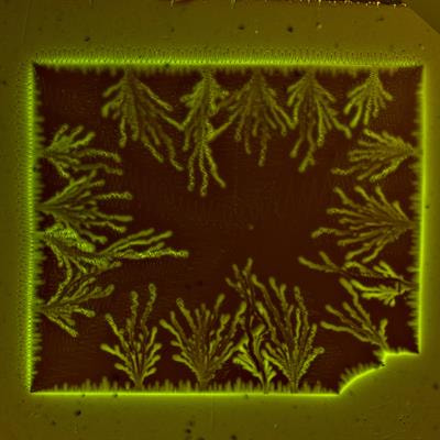 Cover image for research topic "Disorder and Superconductivity: a 21st-century update"