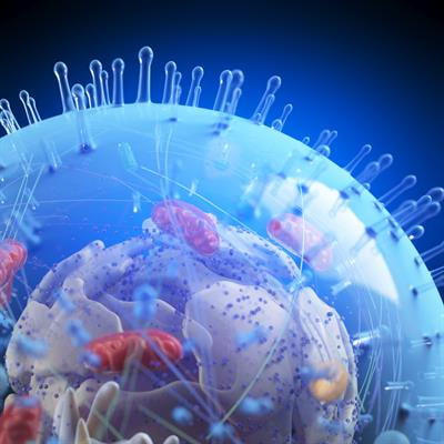 Cover image for research topic "Nutrients, Stress Response, and Human Health"