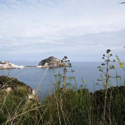 Cover image for research topic "Coastal Climate Monitoring and Downscaling for Adaptation Planning in the Adriatic Sea"
