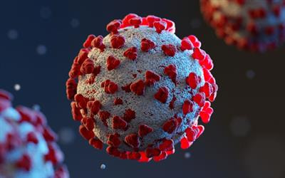Cover image for research topic "Recent Outbreak of Viral Infections"