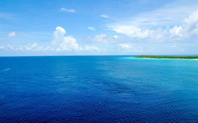 Cover image for research topic "The Role of Viruses in Marine Environments"