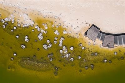 Cover image for research topic "The Cycling of Biogenic Elements and Their Microbial Transformations in Marine Ecosystems"