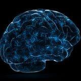 Cover image for research topic "Recent Applications of Noninvasive Physiological Signals and Artificial Intelligence"