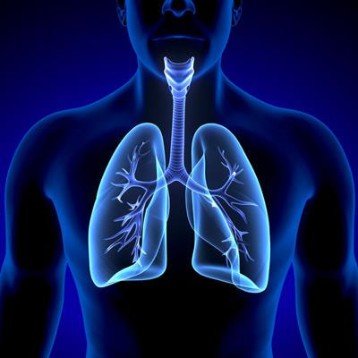 Cover image for research topic "Environmental Microbiomes, Metabolites, and Respiratory Diseases"