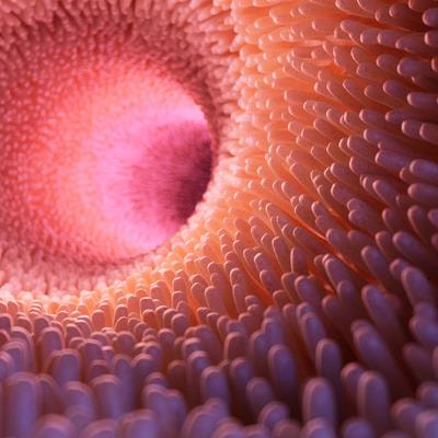 Cover image for research topic "Biomarkers and Mechanisms of Gastrointestinal Diseases"