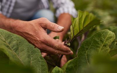 Cover image for research topic "Breathing New Life into Farming: Illuminating the Socio-Ecological Benefits of Regenerative Agriculture"