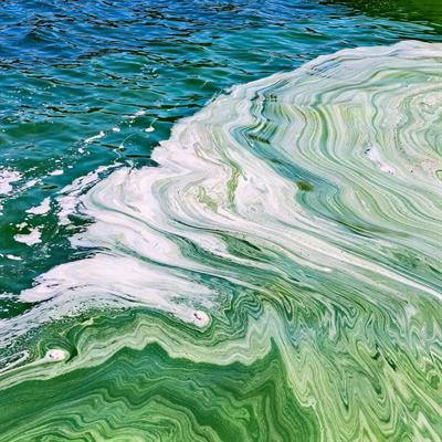 Cover image for research topic "Un/belonging Identities: Relating Narratives of Queer Trauma"