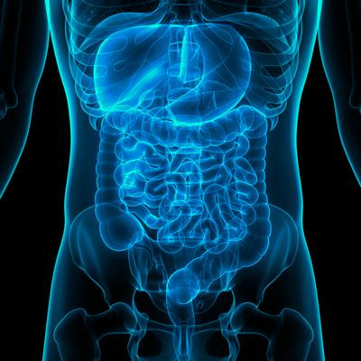 Cover image for research topic "Leveraging Multi-omics Approaches to Understand and Manage Gastrointestinal and Hepatic Diseases"
