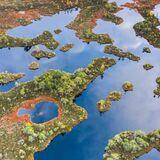 Cover image for research topic "Ecosystem Condition Assessments: Progress towards a Global Standard"