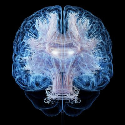 Cover image for research topic "Changing Perspectives in Speech and Language Neuropsychology, 1863-2023"