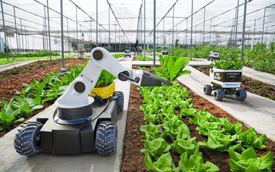 Cover image for research topic "Microorganisms in Sustainable and Green Agriculture: Synergistic Effect on Carbon Sequestration and Crop Productivity"