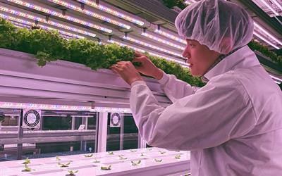 Cover image for research topic "Speed Breeding Systems For Food"