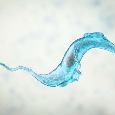 Cover image for research topic "Recent advances in the prevention, diagnosis and treatment of Chagas Disease"