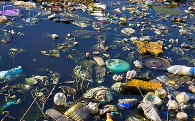 Cover image for research topic "Pollution and Environmental Water Quality of River and Streams"