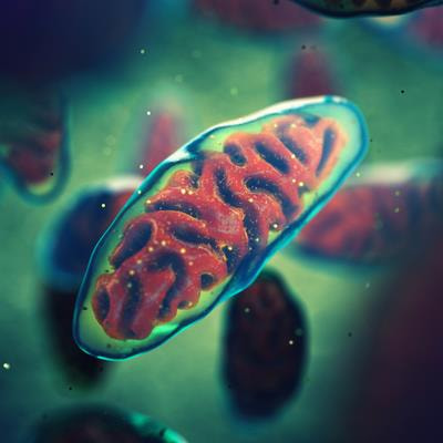 Cover image for research topic "Advances in mitochondria-targeting in drug development for common disorders"