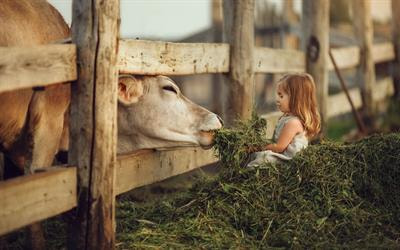 Cover image for research topic "Nutricines and Derivatives of Nutrients in Animal Health and Disease Prevention"