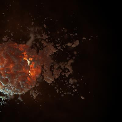 Cover image for research topic "T and B Cell Immune Dynamics in Allergic Response"
