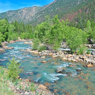 Cover image for research topic "Editors' Showcase: Rivers and Floodplains"