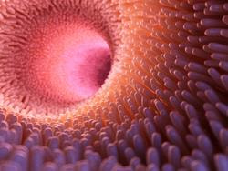 Cover image for research topic "Integrated Analysis of Spatial Transcriptomics and Single-Cell Sequencing for Unraveling the Pathogenesis and Treatment of Digestive Tract Tumors"