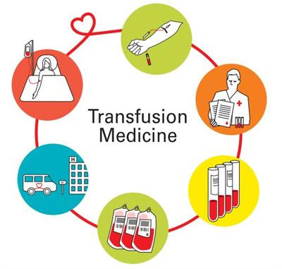 Cover image for research topic "Transfusion Medicine and Blood"