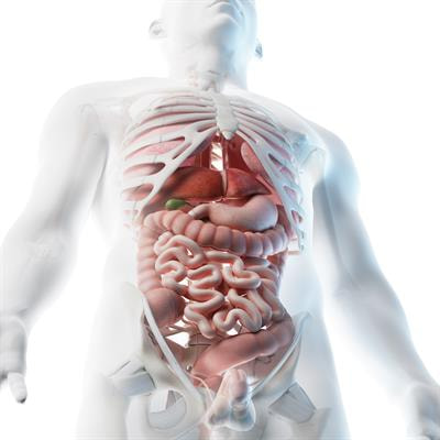 Cover image for research topic "Novel Primary Prevention and Treatment Strategies for Upper Digestive Tract Tumor Metastasis"