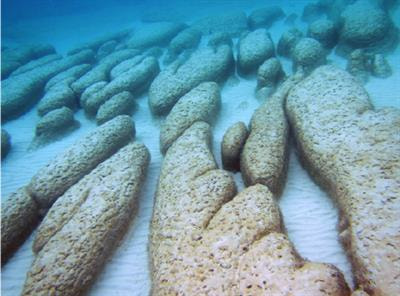 Cover image for research topic "Characterizing Modern Microbialites and The Geobiological Processes Underlying Their Formation"