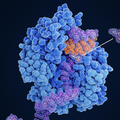Cover image for research topic "Pharmacokinetics Modeling in the Artificial Intelligence Era"