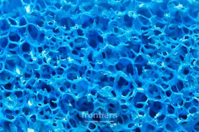 Cover image for research topic "Multifunctional, Flexible, Polymeric Materials with Controlled Nanostructures"