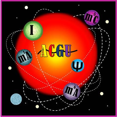 Cover image for research topic "Epitranscriptomics: The Novel RNA Frontier"