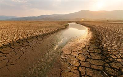 Cover image for research topic "Microbial Enhanced Solutions to Climate Change and Environmental Pollution"