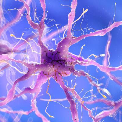 Cover image for research topic "Neurological Autoimmunity: etiology, infectious complications, treatment strategies and outcomes in antibody-associated syndromes and beyond"
