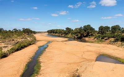 Cover image for research topic "Advances in Biomonitoring of African Aquatic Ecosystems, Volume II"