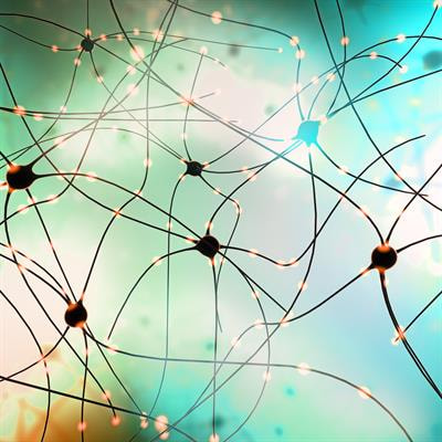 Cover image for research topic "Analysis of the Nonlinear Dynamics of Brain Function from Time Series Measurements"