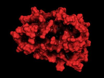 Cover image for research topic "Differential Diagnosis of Erythrocytosis and Analysis of Their Clinical Utility"
