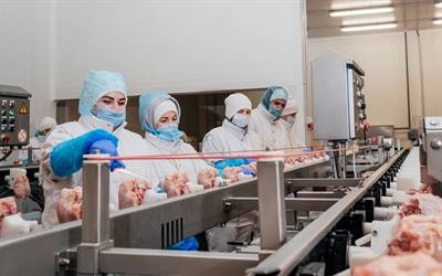 Cover image for research topic "The Dissemination Mechanism and “One Health” Control Strategy of Antimicrobial Resistance in Foodborne Pathogens along Food Supply Chain"