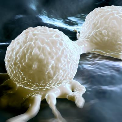 Cover image for research topic "FGFR signaling in breast cancer: state of art and future challenges"