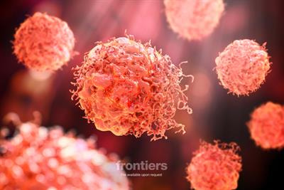 Cover image for research topic "Peripheral Blood-Based Biomarkers for Immune Monitoring of Cancer and Cancer Therapy"