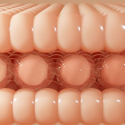 Cover image for research topic "The Gut-Skin Axis: Interaction of Gut Microbiome and Skin Diseases"