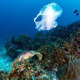 Cover image for research topic "50 Years of World Environment Day: Solutions to Plastic Pollution – Waste Management Perspective"