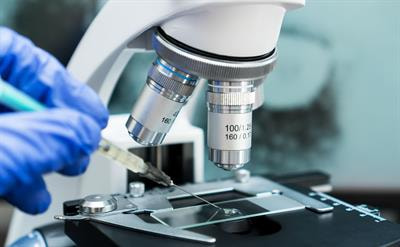 Cover image for research topic "Antimicrobials Alternatives for the Prevention and Treatment of Veterinary Infectious Diseases: Volume II"